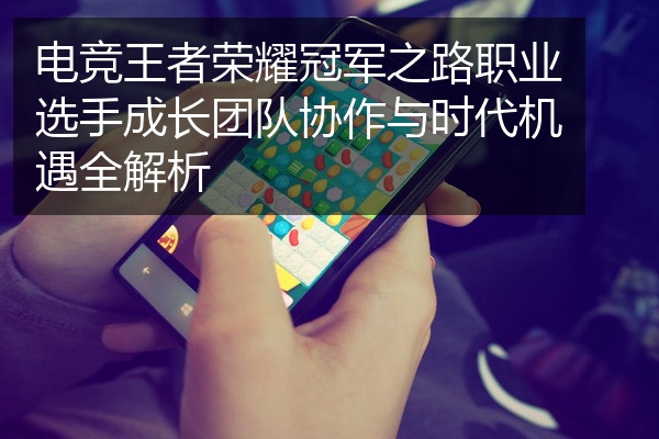 电竞王者荣耀冠军之路职业选手成长团队协作与时代机遇全解析