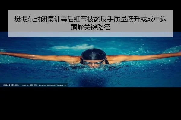 樊振东封闭集训幕后细节披露反手质量跃升或成重返巅峰关键路径