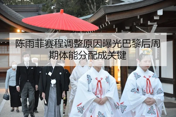 chen-yu-fei-sai-cheng-tiao-zheng-yuan-yin-bao-guang-ba-li-hou-zhou-qi-ti-neng-fen-pei-cheng-guan-jian-2-998.jpg