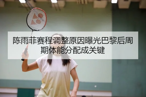 chen-yu-fei-sai-cheng-tiao-zheng-yuan-yin-bao-guang-ba-li-hou-zhou-qi-ti-neng-fen-pei-cheng-guan-jian-1-720.jpg